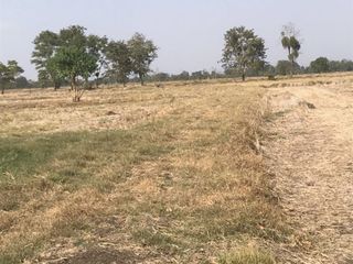 For sale land in Ban Mi, Lopburi