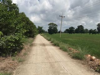 For sale land in Ban Mi, Lopburi