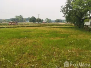 For sale land in Bueng Khong Long, Bueng Kan