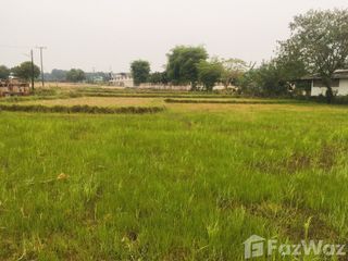 For sale land in Bueng Khong Long, Bueng Kan