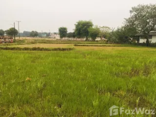 For sale land in Bueng Khong Long, Bueng Kan