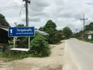 For sale land in Mae Chan, Chiang Rai