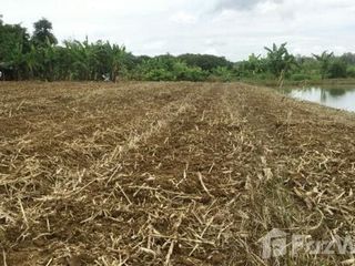 For sale land in Mae Chan, Chiang Rai