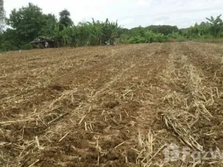For sale land in Mae Chan, Chiang Rai