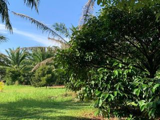 For sale land in Takua Pa, Phang Nga