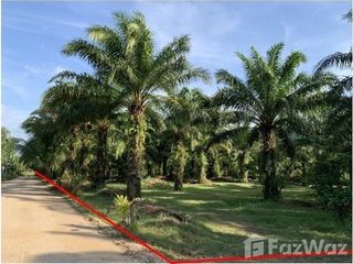 For sale land in Takua Pa, Phang Nga