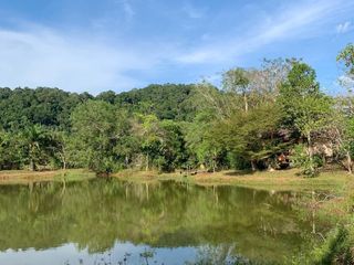 For sale land in Takua Pa, Phang Nga
