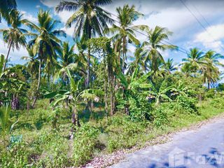 For sale land in Takua Pa, Phang Nga