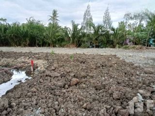 For sale land in Ban Phaeo, Samut Sakhon