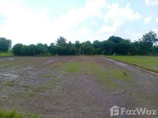 For sale land in Noen Kham, Chainat