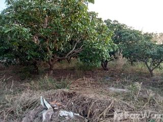 For sale land in Wang Nam Khiao, Nakhon Ratchasima