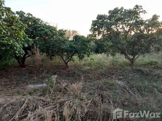 For sale land in Wang Nam Khiao, Nakhon Ratchasima