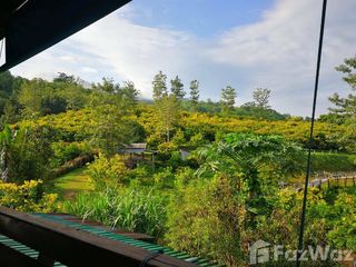 For sale land in Wang Chin, Phrae