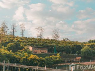 For sale land in Wang Chin, Phrae