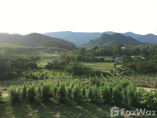 For sale land in Wang Chin, Phrae