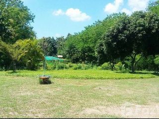 ขาย ที่ดิน ใน เมืองลำปาง, ลำปาง
