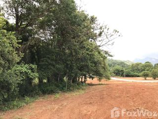 For sale land in Muak Lek, Saraburi