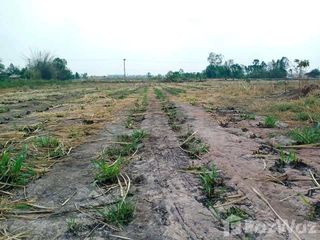 For sale land in Noen Kham, Chainat