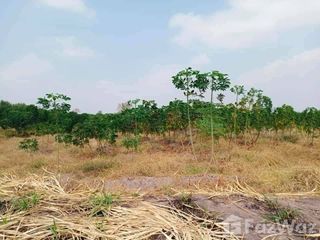 For sale land in Noen Kham, Chainat
