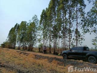 For sale land in Ban Mi, Lopburi