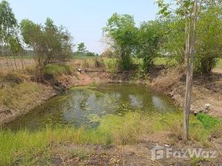 For sale land in Noen Kham, Chainat