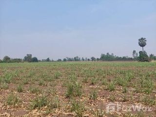 For sale land in Noen Kham, Chainat