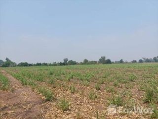 For sale land in Noen Kham, Chainat