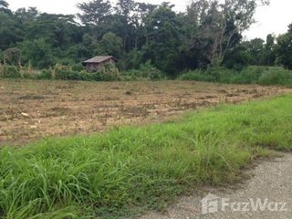 For sale land in Wiang Pa Pao, Chiang Rai