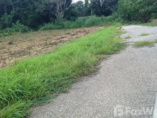 For sale land in Wiang Pa Pao, Chiang Rai