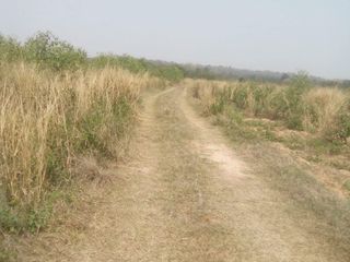 For sale land in Sikhio, Nakhon Ratchasima
