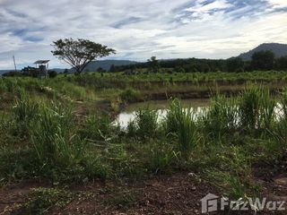 For sale land in Wang Nam Khiao, Nakhon Ratchasima