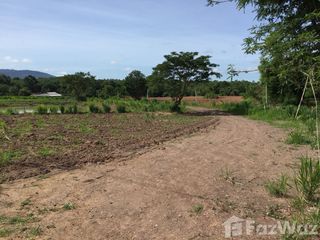 For sale land in Wang Nam Khiao, Nakhon Ratchasima