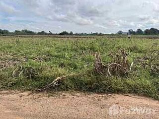 For sale land in Pak Thong Chai, Nakhon Ratchasima