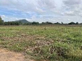 For sale land in Pak Thong Chai, Nakhon Ratchasima