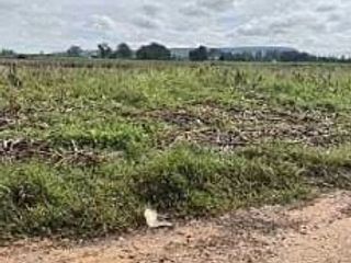 For sale land in Pak Thong Chai, Nakhon Ratchasima