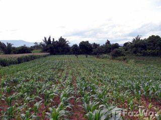 For sale land in Chiang Khong, Chiang Rai