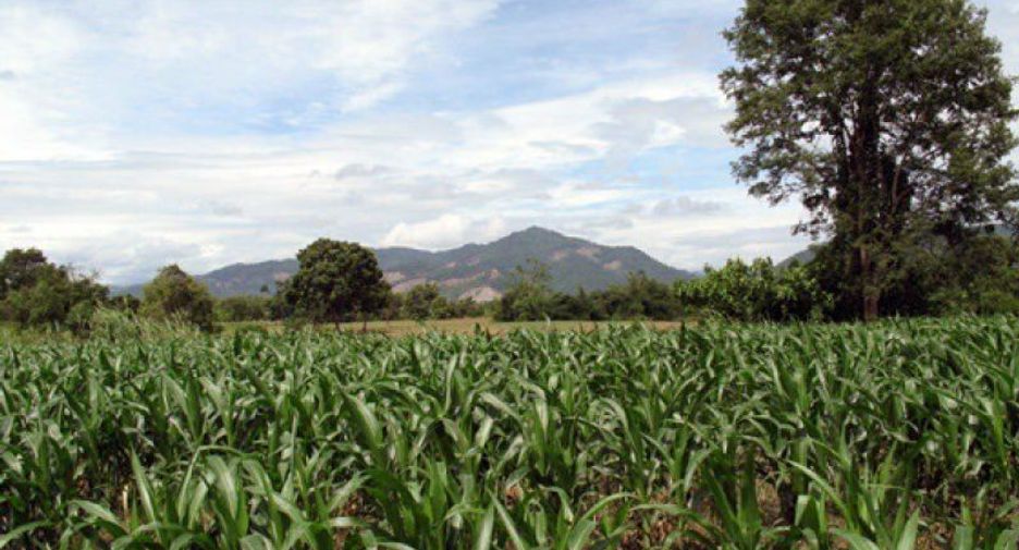 For sale land in Chiang Khong, Chiang Rai
