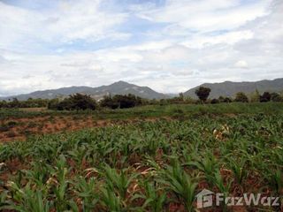 For sale land in Chiang Khong, Chiang Rai