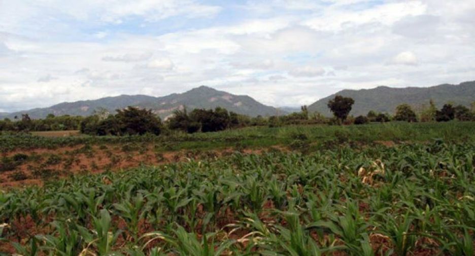 For sale land in Chiang Khong, Chiang Rai