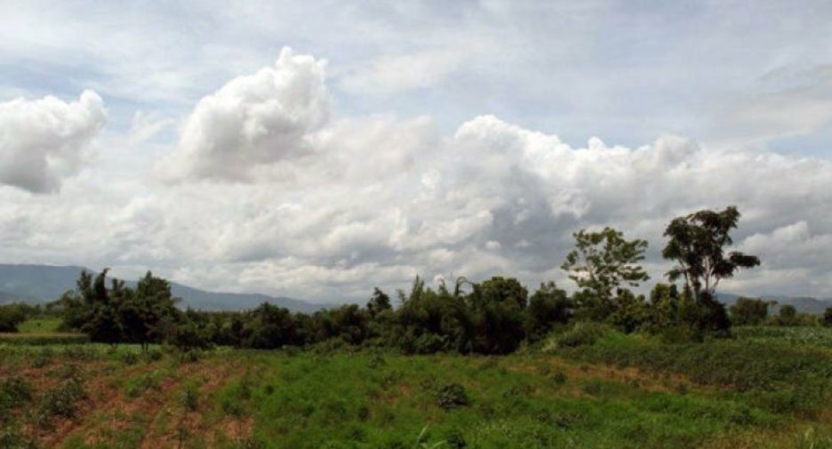 For sale land in Chiang Khong, Chiang Rai