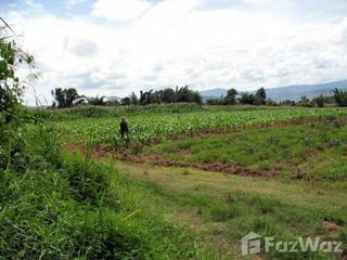 For sale land in Chiang Khong, Chiang Rai
