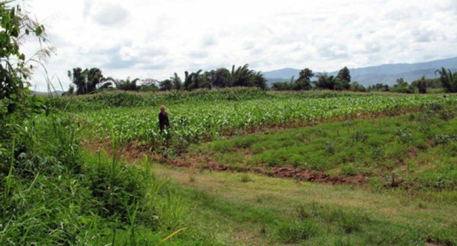 For sale land in Chiang Khong, Chiang Rai