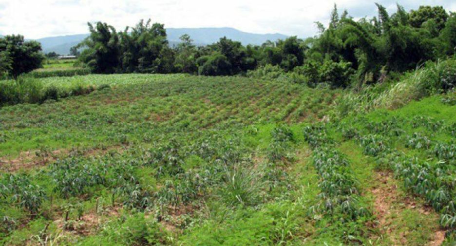 For sale land in Chiang Khong, Chiang Rai