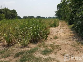 For sale land in Hankha, Chainat