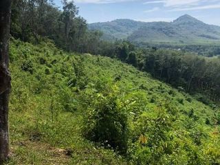 For sale land in Mueang Phangnga, Phang Nga
