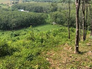 For sale land in Mueang Phangnga, Phang Nga