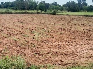 For sale land in Phayakkhaphum Phisai, Maha Sarakham