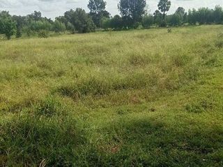 For sale land in Phayakkhaphum Phisai, Maha Sarakham