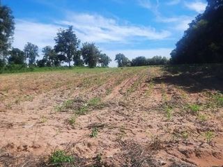 For sale land in Pak Thong Chai, Nakhon Ratchasima