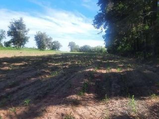 For sale land in Pak Thong Chai, Nakhon Ratchasima